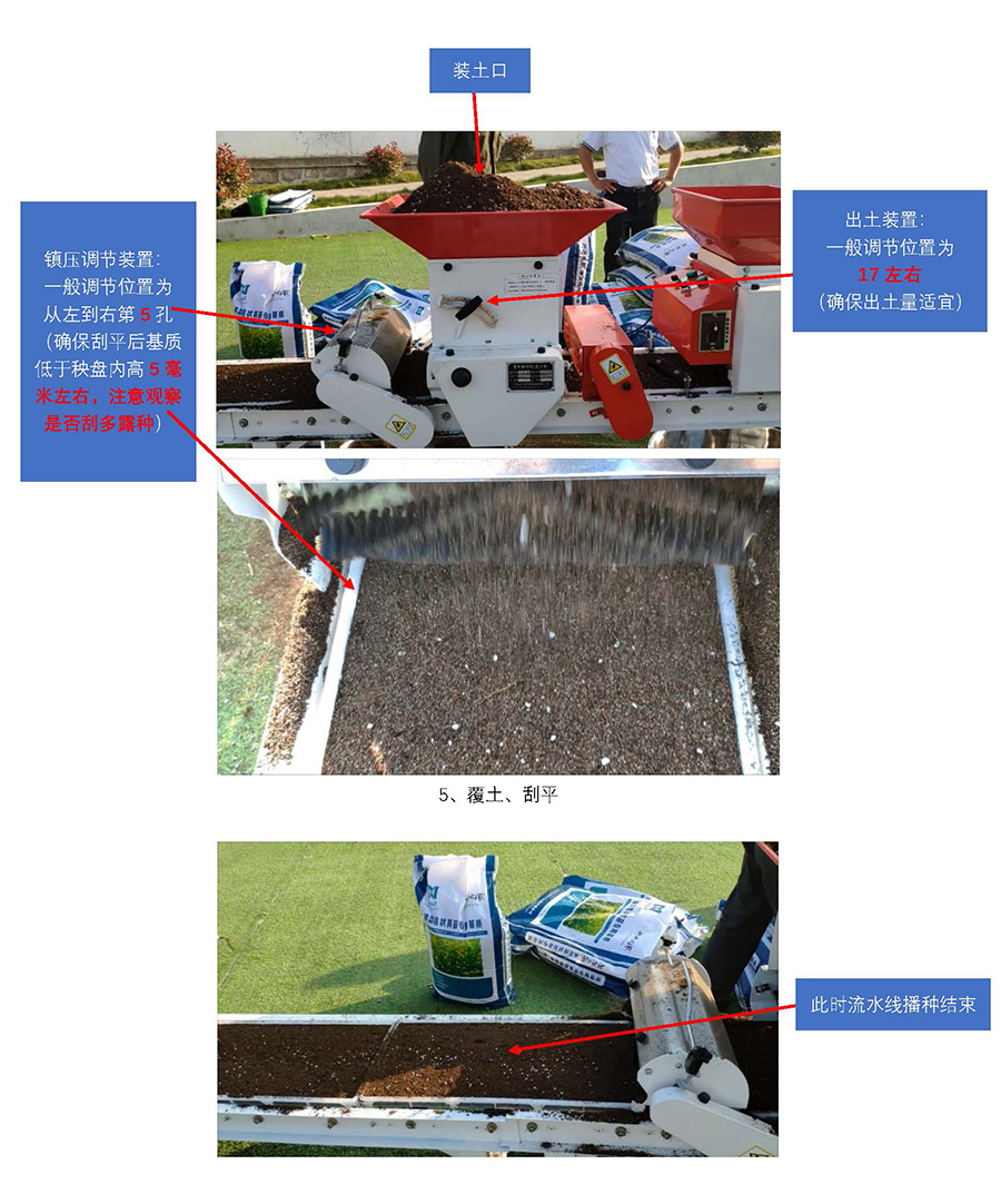 云馬--油菜毯狀苗育苗技術流程_頁面_4.jpg